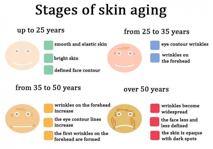anti aging idővonal